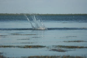 floridakeys/img_7042.jpg