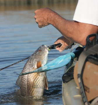 redfishlandedsm.jpg